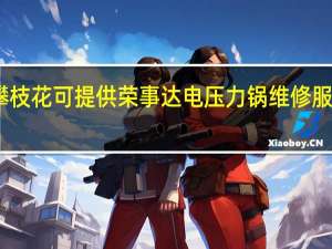 四川攀枝花可提供荣事达电压力锅维修服务地址在哪