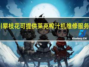 四川攀枝花可提供莱克榨汁机维修服务地址在哪