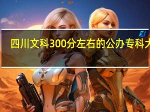四川文科300分左右的公办专科大学