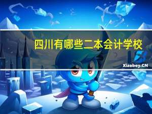 四川有哪些二本会计学校
