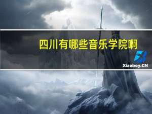 四川有哪些音乐学院啊