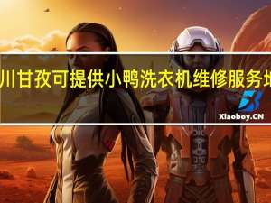 四川甘孜可提供小鸭洗衣机维修服务地址在哪