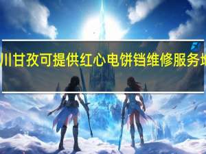 四川甘孜可提供红心电饼铛维修服务地址在哪