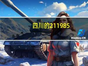 四川的211 985