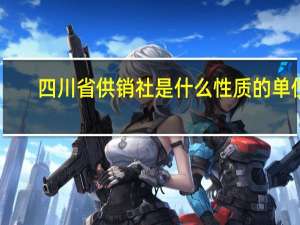 四川省供销社是什么性质的单位（供销社是什么性质的单位）