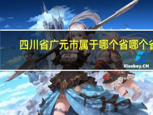 四川省广元市属于哪个省哪个省