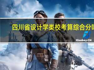 四川省设计学类校考算综合分吗