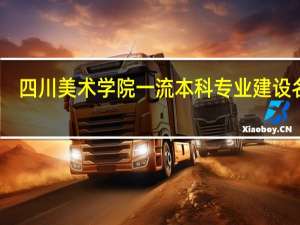 四川美术学院一流本科专业建设名单