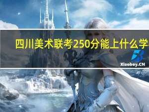 四川美术联考250分能上什么学校