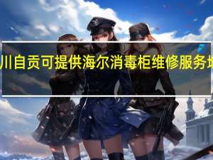 四川自贡可提供海尔消毒柜维修服务地址在哪