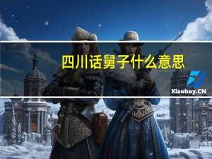 四川话舅子什么意思