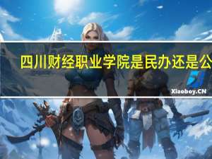 四川财经职业学院是民办还是公办