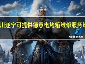 四川遂宁可提供德意电烤箱维修服务地址在哪