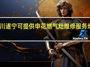 四川遂宁可提供申花燃气灶维修服务地址在哪