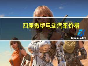 四座微型电动汽车价格