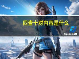 四查十对内容是什么