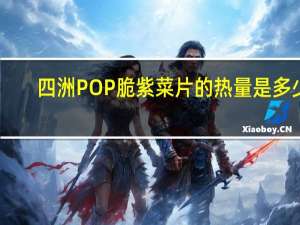 四洲 POP 脆紫菜片的热量是多少