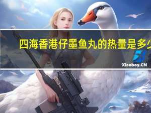 四海 香港仔墨鱼丸的热量是多少