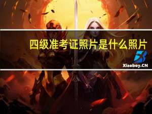 四级准考证照片是什么照片