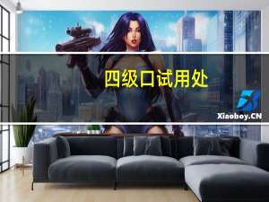 四级口试用处