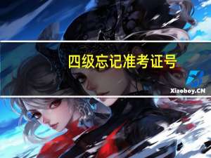 四级忘记准考证号