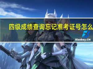 四级成绩查询忘记准考证号怎么办