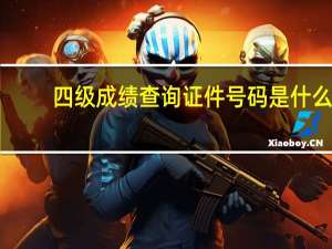 四级成绩查询证件号码是什么