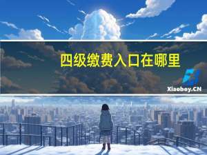 四级缴费入口在哪里