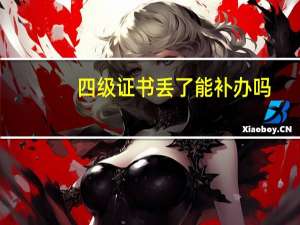 四级证书丢了能补办吗
