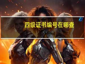 四级证书编号在哪查（四级证书编号查询网站）