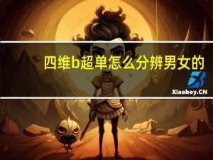 四维b超单怎么分辨男女的（四维b超单怎么分辨男女）