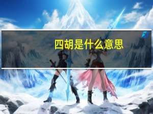 四胡是什么意思