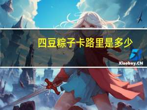 四豆粽子卡路里是多少