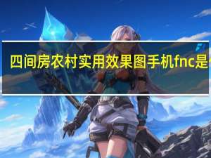 四间房农村实用效果图 手机fnc是什么