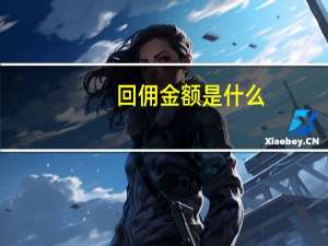 回佣金额是什么