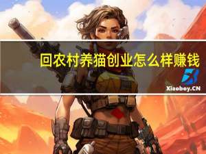 回农村养猫创业怎么样赚钱