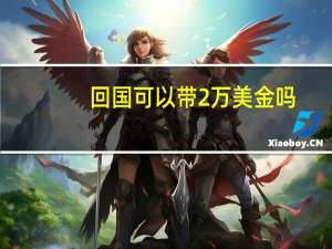 回国可以带2万美金吗