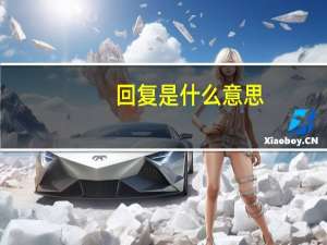 回复是什么意思