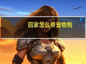 回家怎么带宠物狗