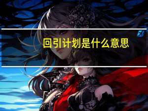 回引计划是什么意思
