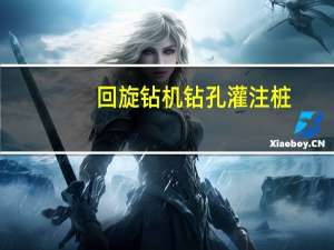 回旋钻机钻孔灌注桩（回旋钻机钻孔）