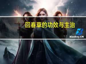 回春草的功效与主治（回春草的作用）