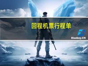 回程机票行程单