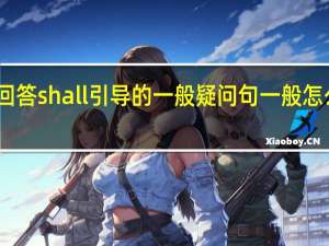 回答shall引导的一般疑问句一般怎么回答