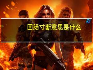 回肠寸断意思是什么