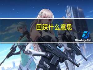 回踩什么意思