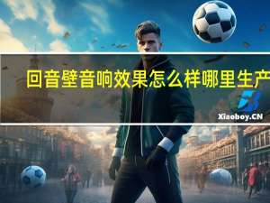 回音壁音响效果怎么样哪里生产的（回音壁音响效果怎么样）