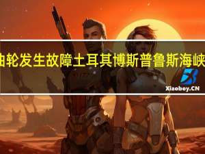 因一艘油轮发生故障土耳其博斯普鲁斯海峡船舶通行暂停