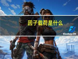 因子载荷是什么（因子载荷）