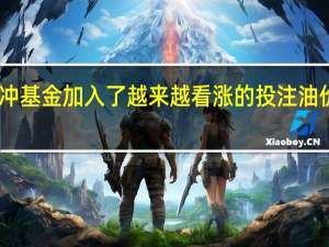 因对冲基金加入了越来越看涨的投注 油价恢复上涨